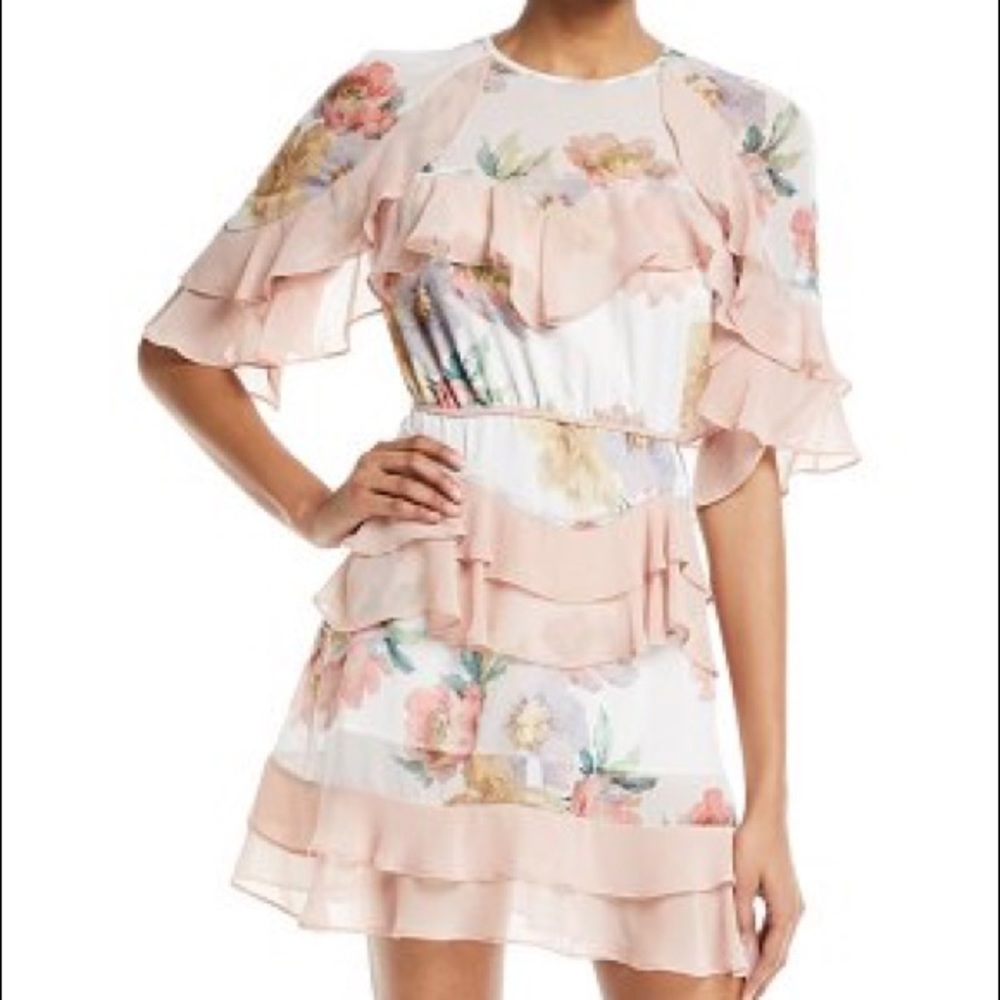 NWOT La Maison Talulah Darcy Floral-Print Mini Dress